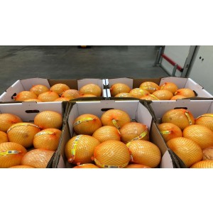 Opslag sinasappels