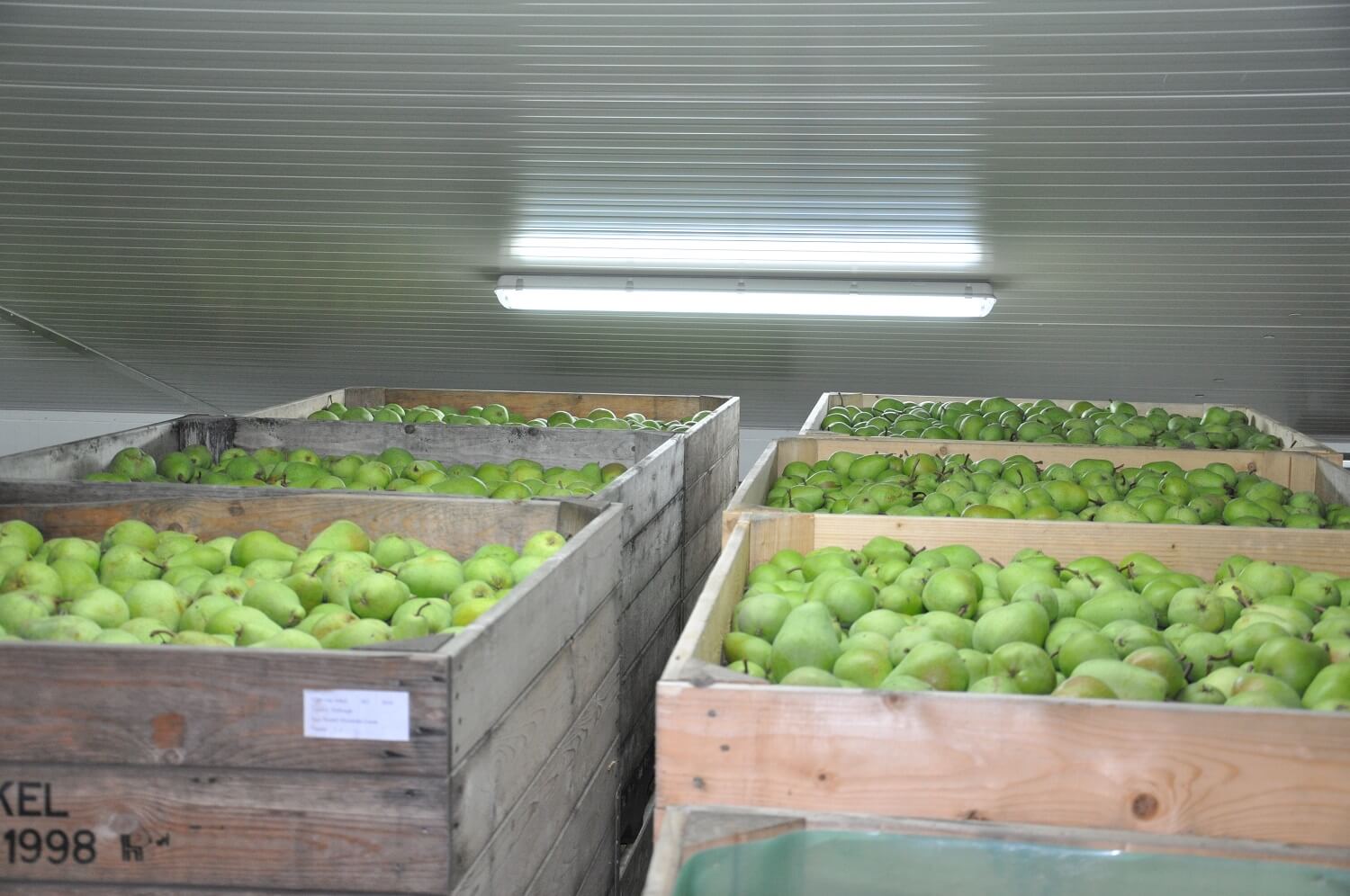 ULO-cel bewaring van fruit