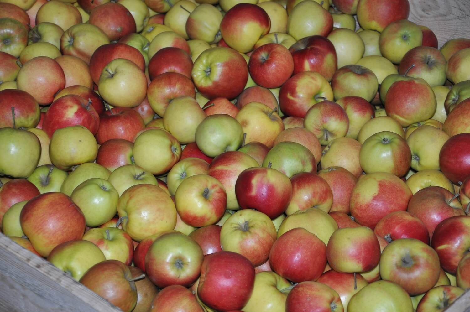 ULO-cel bewaring appels