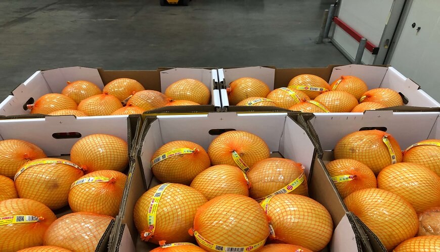 Fruitkoeling import fruit